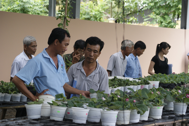 Đồng Tháp: Ứng dụng công nghệ sinh học công nghệ cao vào sản xuất nông nghiệp