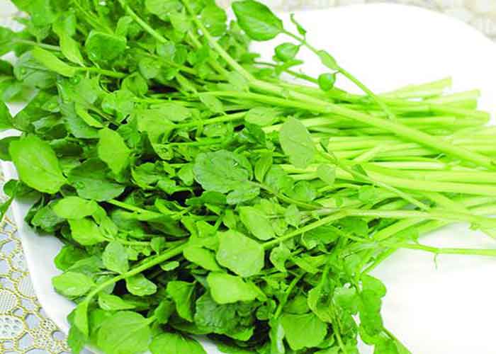 Tất tần tật các mẹo trồng rau trong thùng xốp để có vườn rau xanh mơn mởn