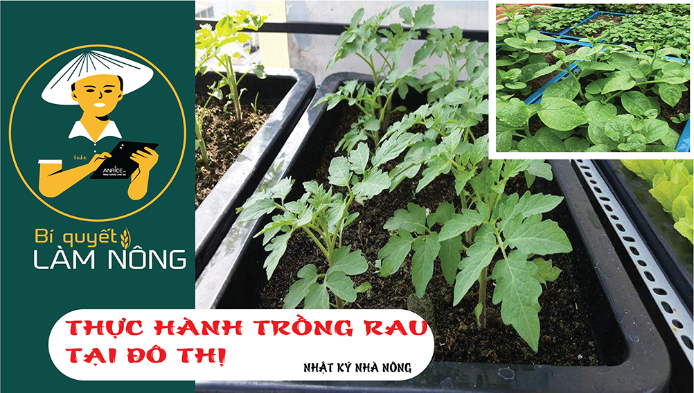 Nhật ký làm nông kỳ 1 