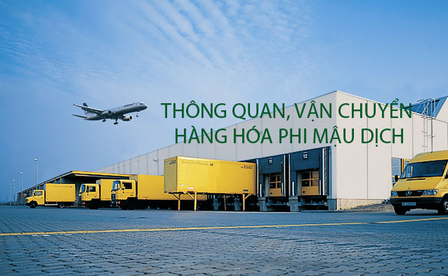 Dịch vụ thông quan hàng hóa phi mậu dịch uy tín, giá rẻ tại GNội