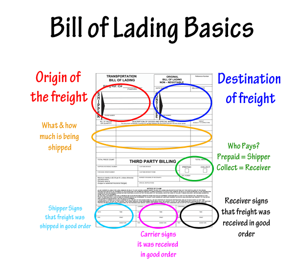 dịch vụ vận chuyển hàng hóa đường biển - logsitics đông dương