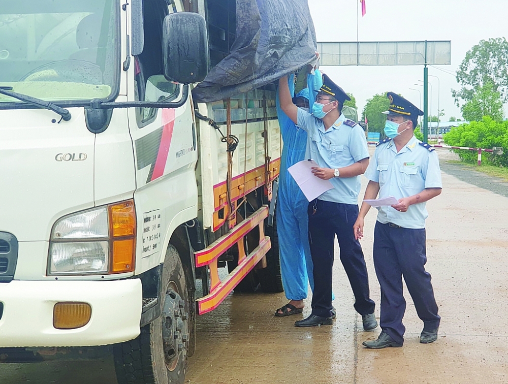 Miễn kiểm tra chất lượng, kiểm tra an toàn thực phẩm