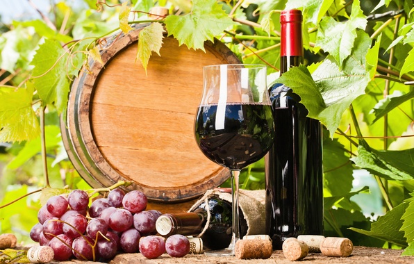 Thuế tiêu thụ đặc biệt dành cho khi nhập khẩu rượu