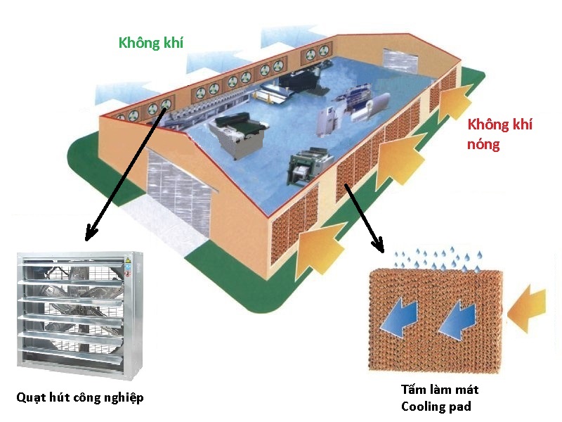 Báo giá hệ thống làm mát giúp bạn có được cái nhìn tổng quan về chi phí và tiết kiệm khi sử dụng hệ thống làm mát. Bên cạnh đó, bạn cũng có thể được tư vấn về thiết kế và lựa chọn các nguồn năng lượng tiết kiệm. Nhấp vào hình ảnh để nhận được báo giá và tư vấn chi tiết.