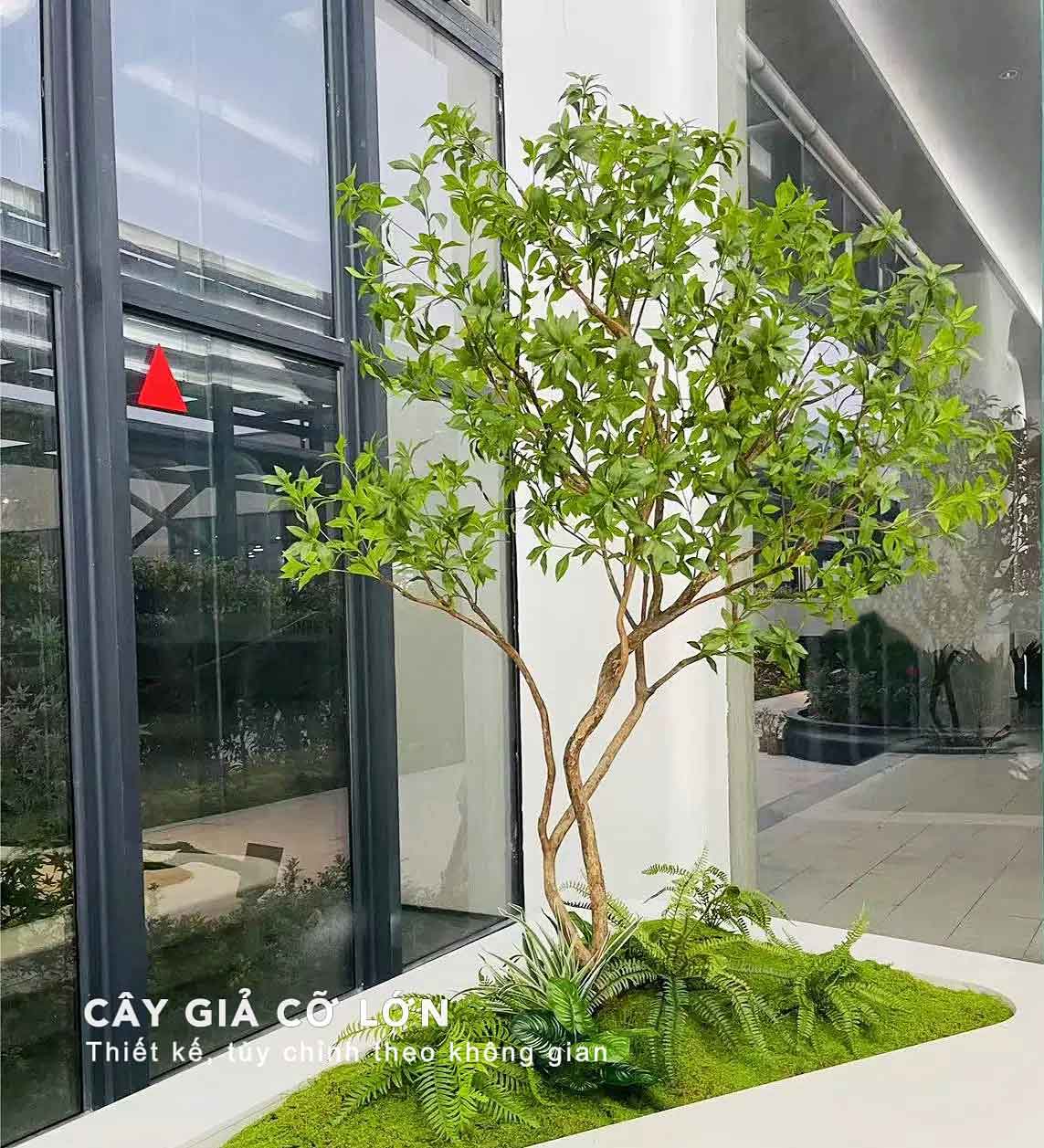 Top Cây Cao Bóng Cả Được Ưa Thích Trong Trang Trí Tiểu Cảnh Cây Giả