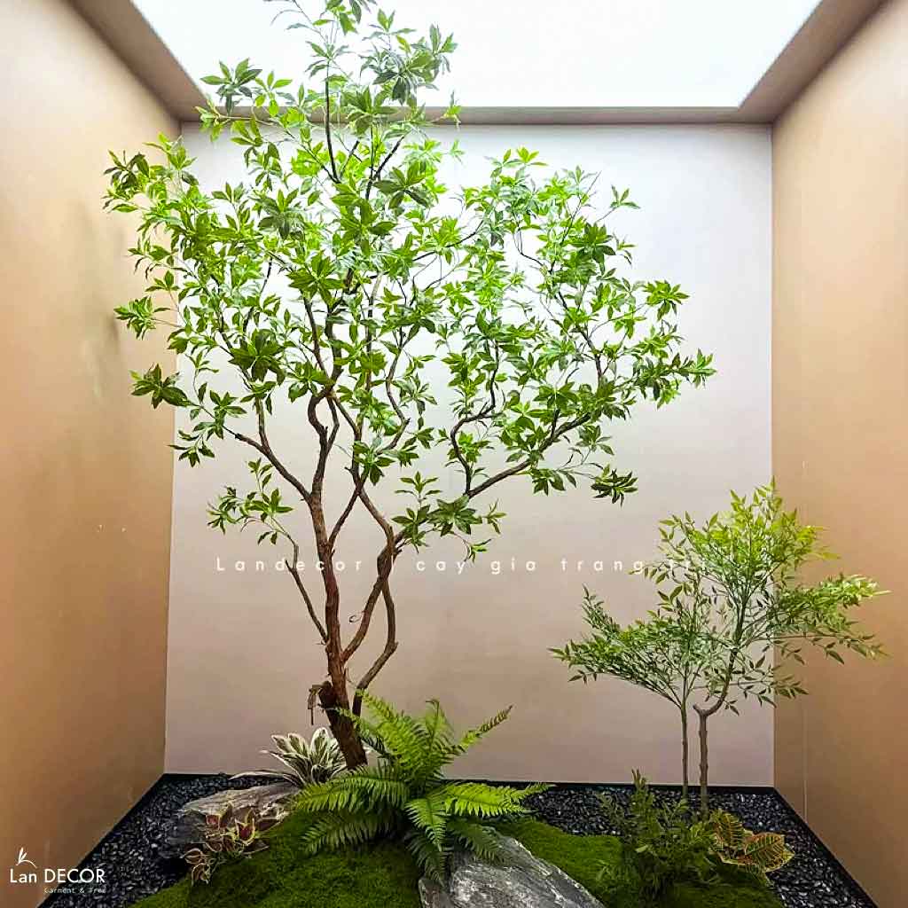 Đầu tư vài trăm triệu cho tiểu cảnh nhưng lại ‘kém sang’ chỉ vì chọn sai cây