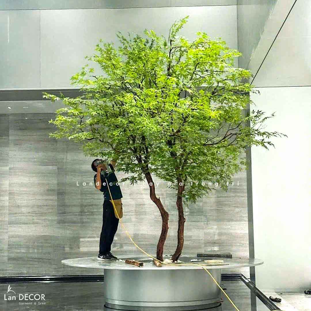 Cây thật trong không gian kinh doanh: Vì sao 80% chủ đầu tư phải “thay bằng cây giả” sau một năm