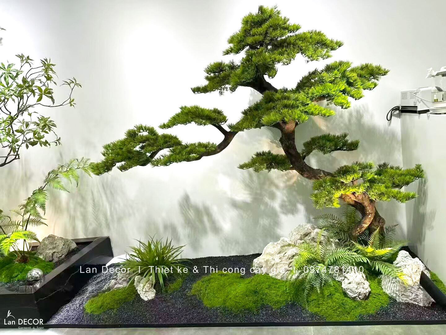 tiểu cảnh tùng bonsai