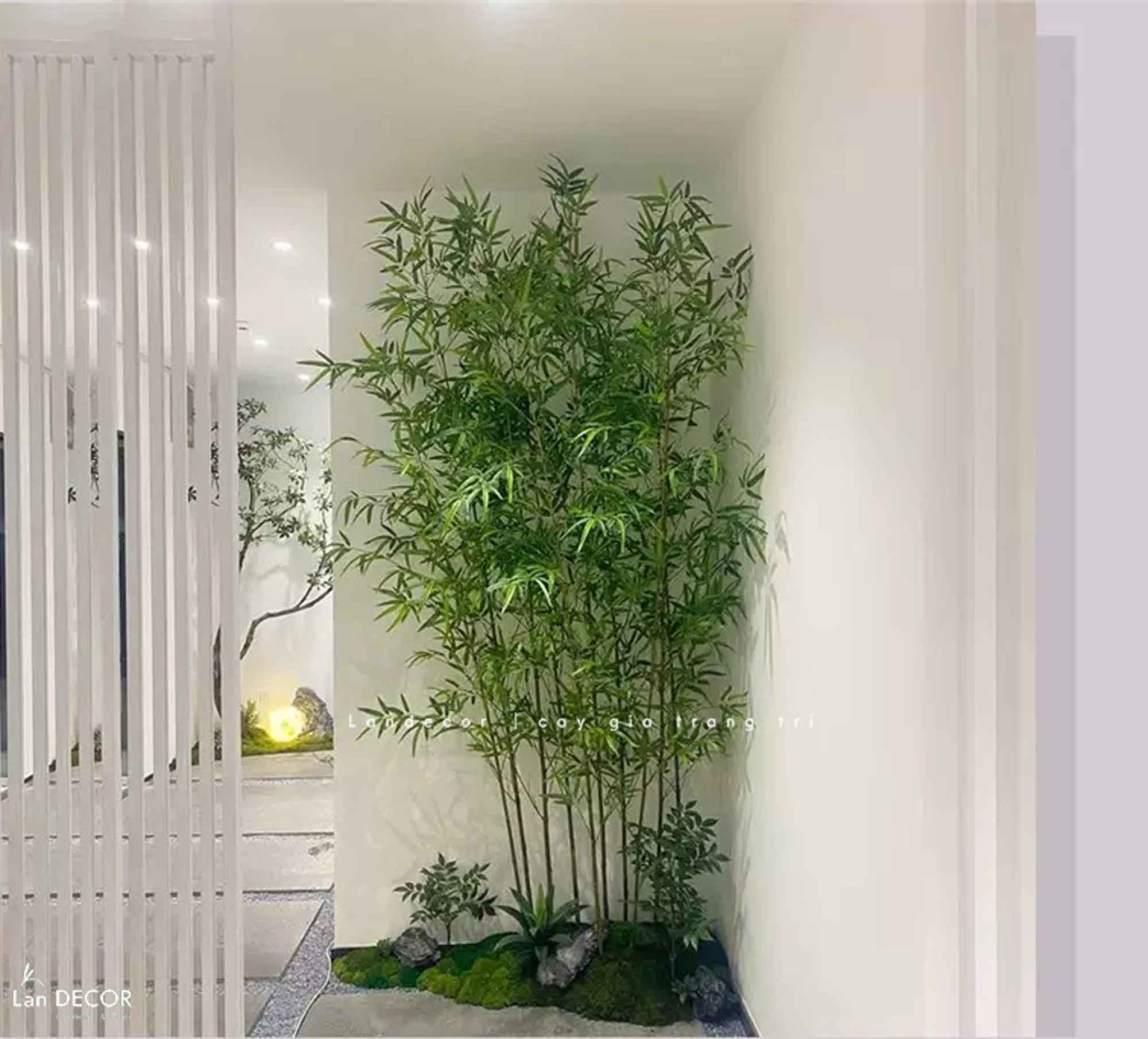 tre-truc-quan-tu-gia 