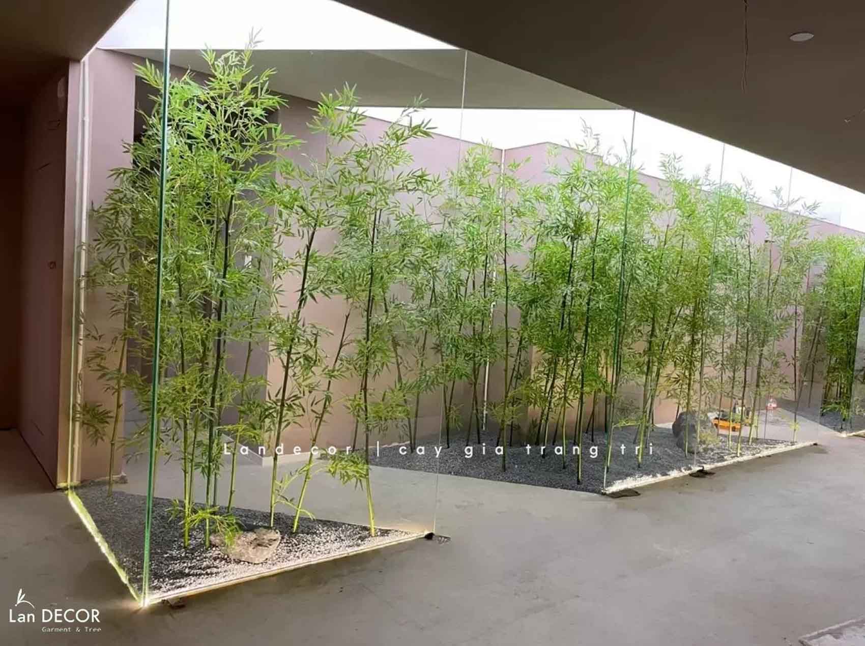 tre-truc-quan-tu-gia 