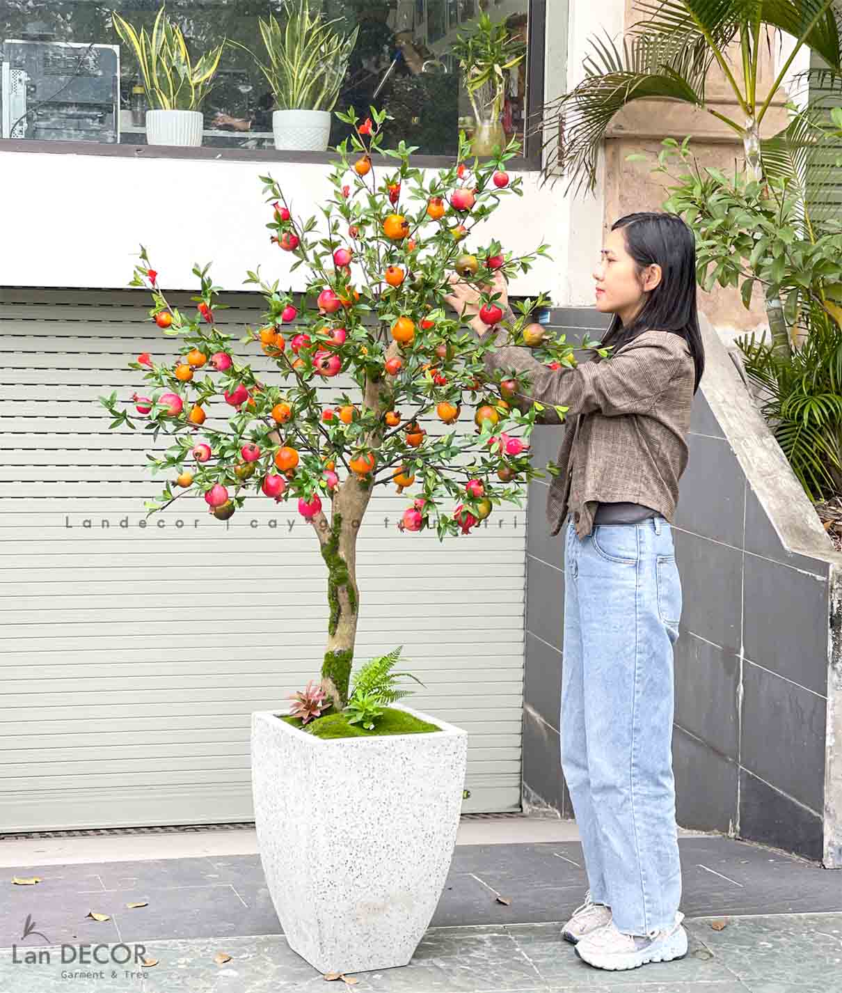 cây-lựu-giả