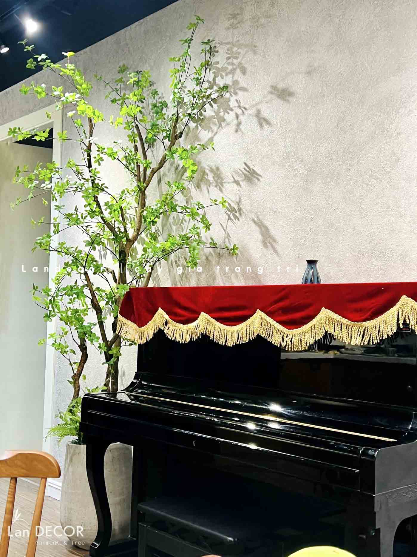 cay-gia-decor 