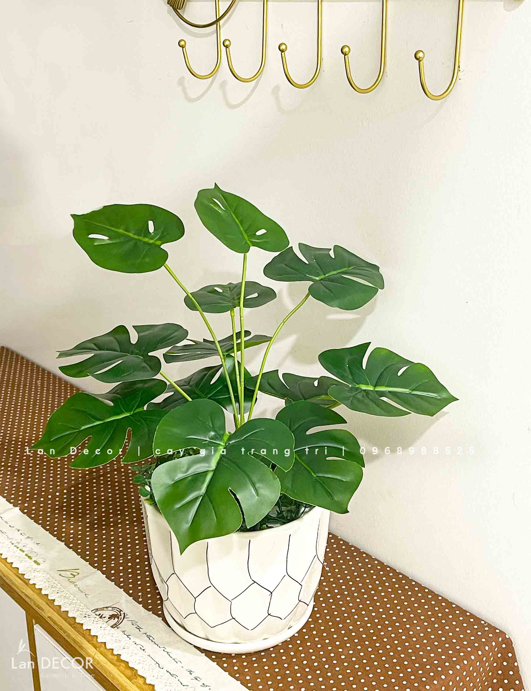chậu-cây-để-bàn 