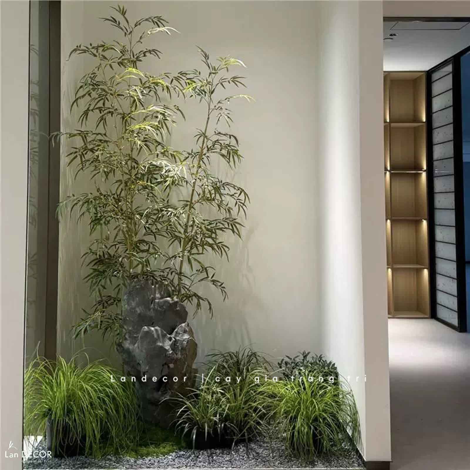 tre-truc-quan-tu-gia 