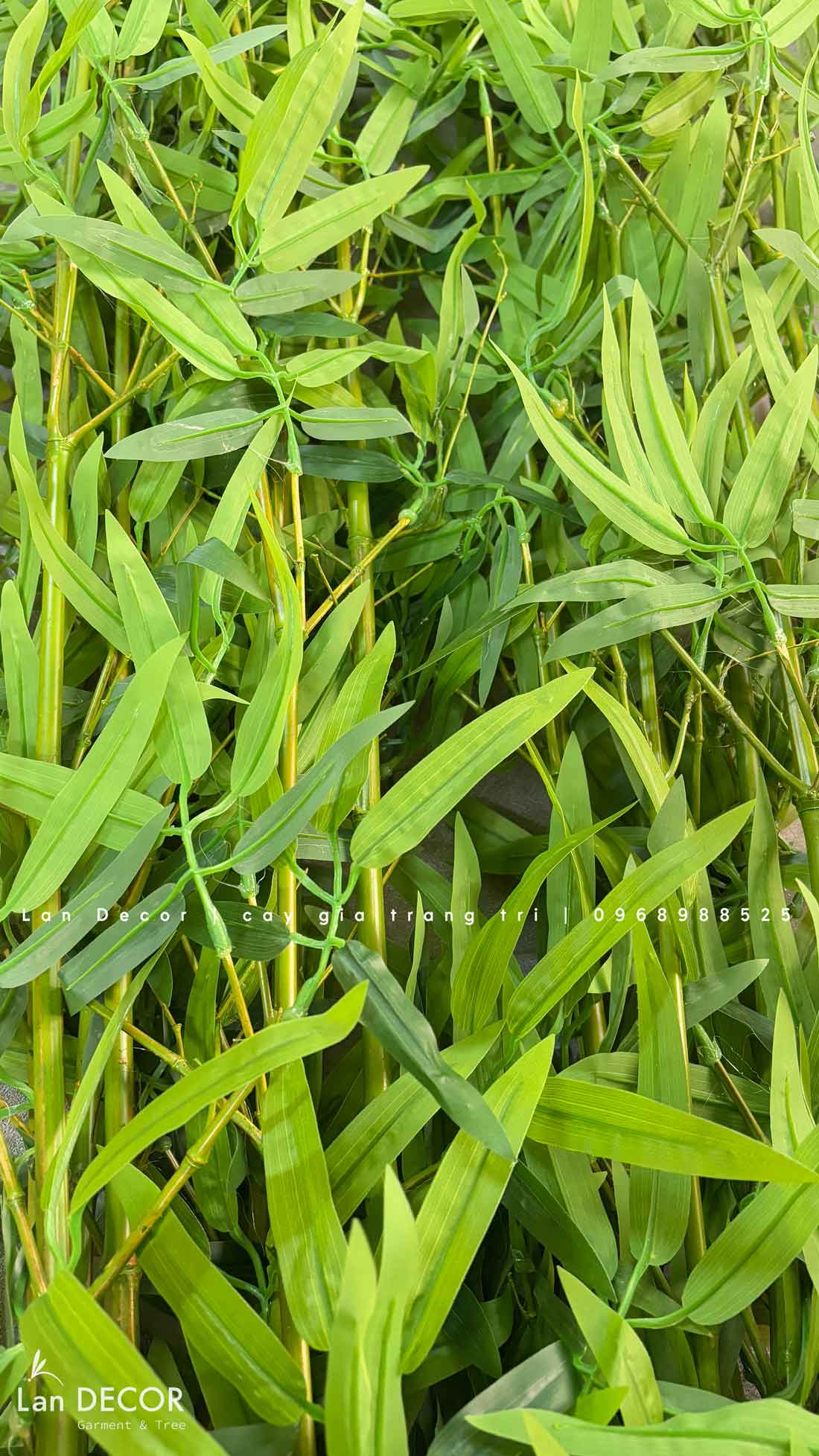 tre-truc-quan-tu-gia 