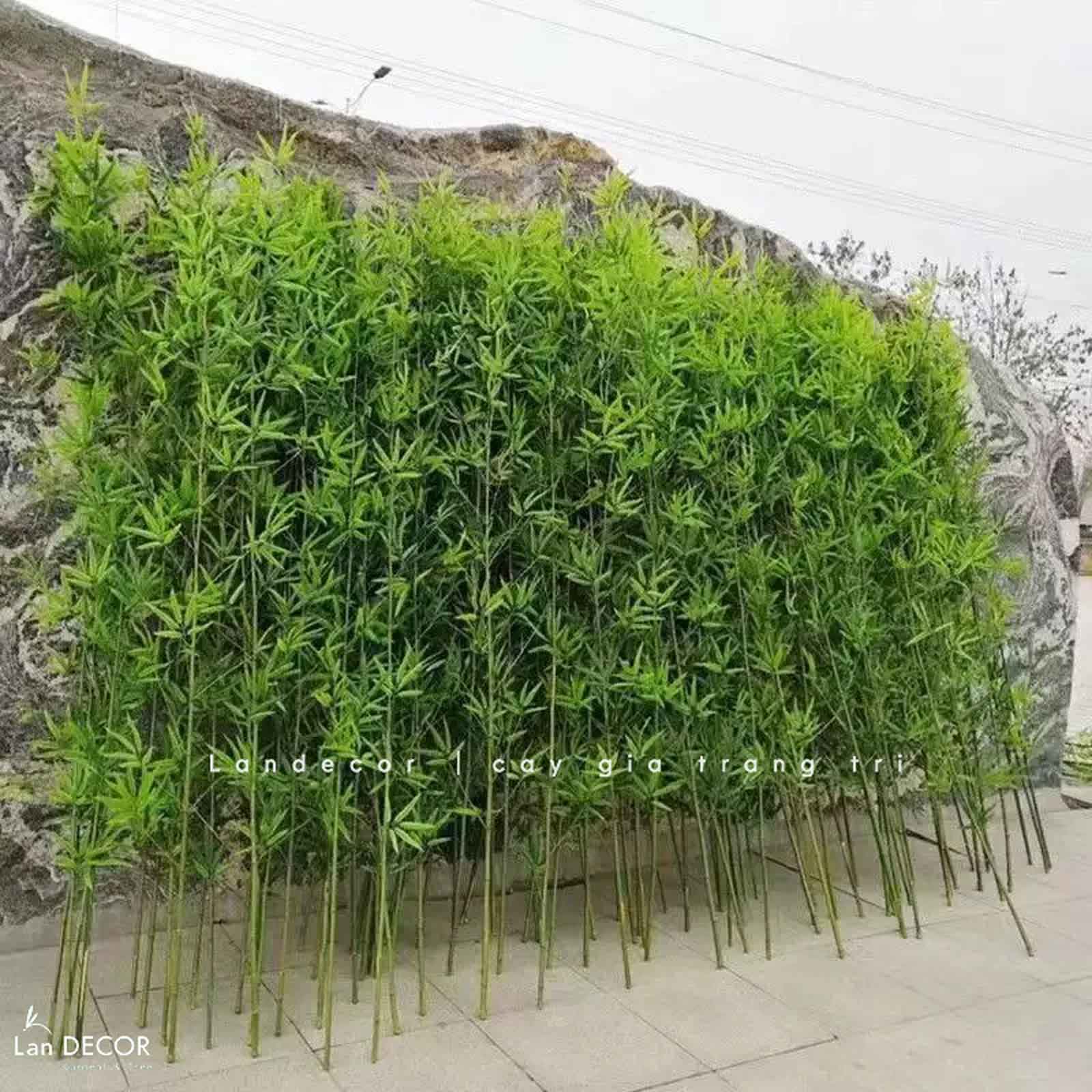 tre-truc-quan-tu-gia 