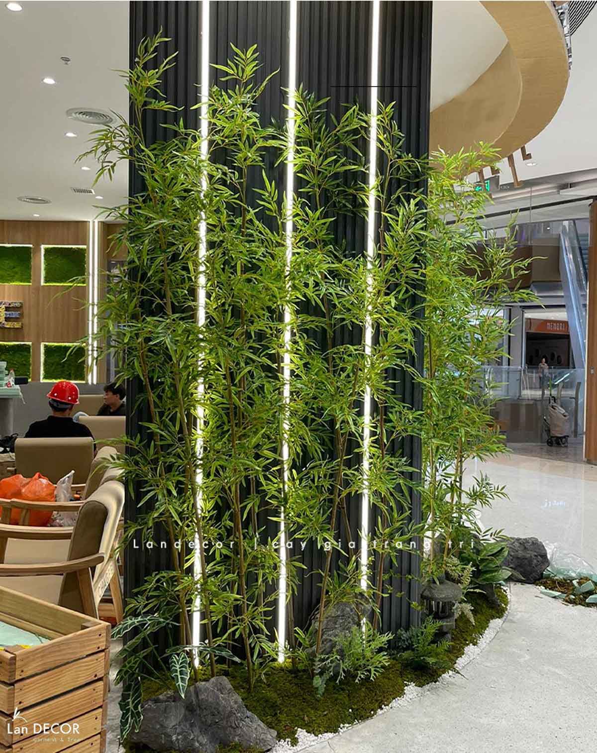 tre-truc-quan-tu-gia 