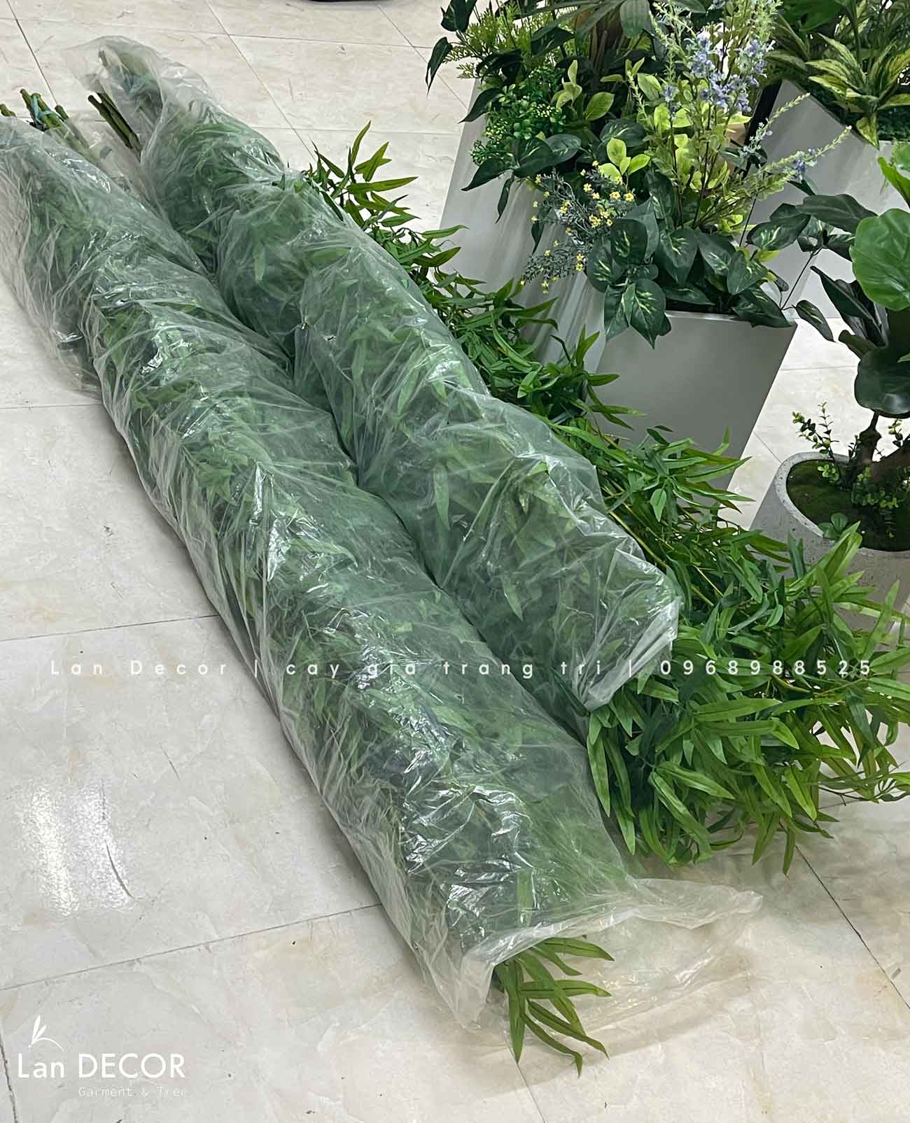 tre-truc-quan-tu-gia 