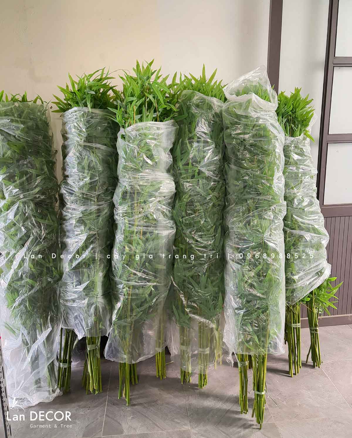 tre-truc-quan-tu-gia 