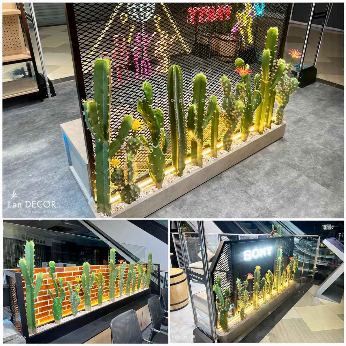 xương-rồng-giả-decor