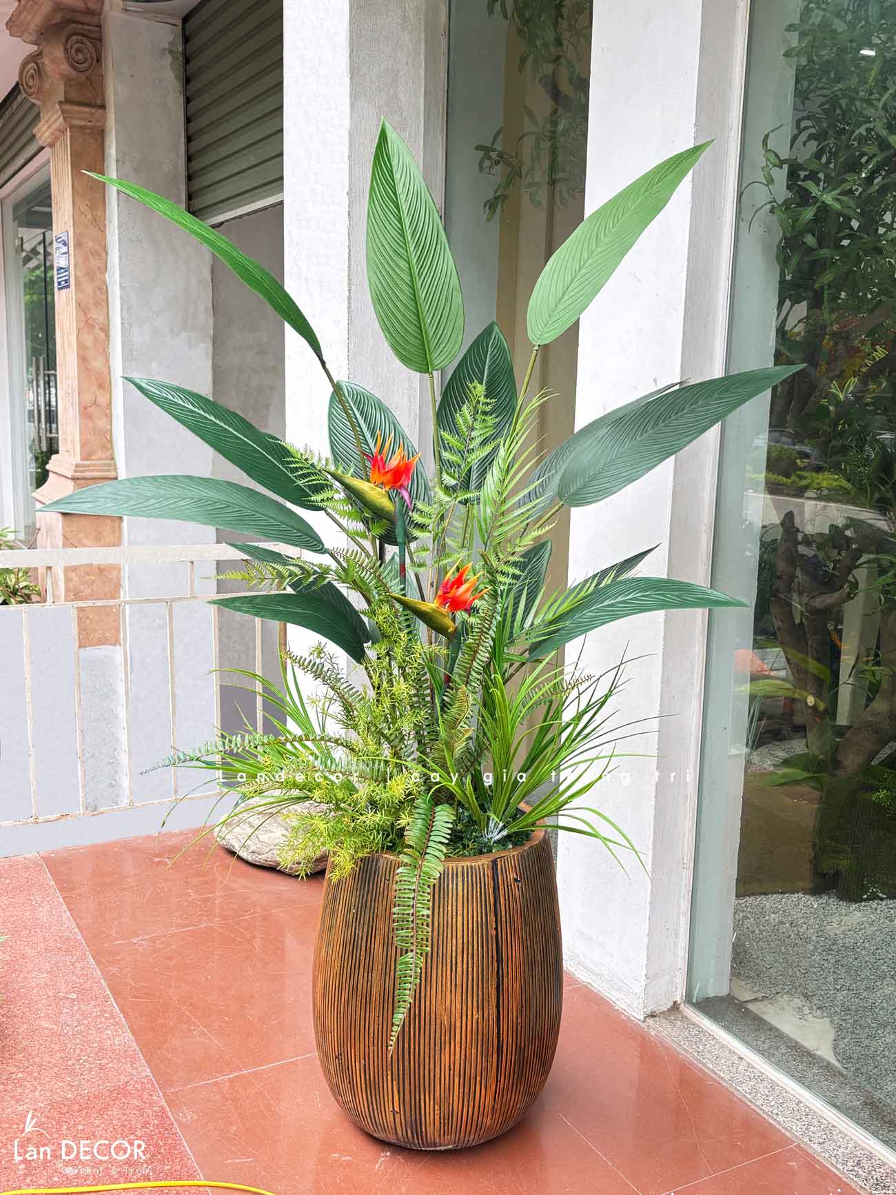cay-chuoi-thien-dieu-gia 