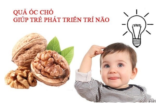 Lợi ích của hạt óc chó với trẻ nhỏ - mẹ cần phải biết