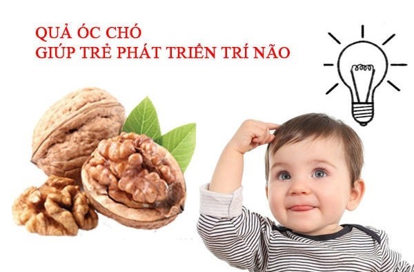 lợi ích của hạt óc chó 2