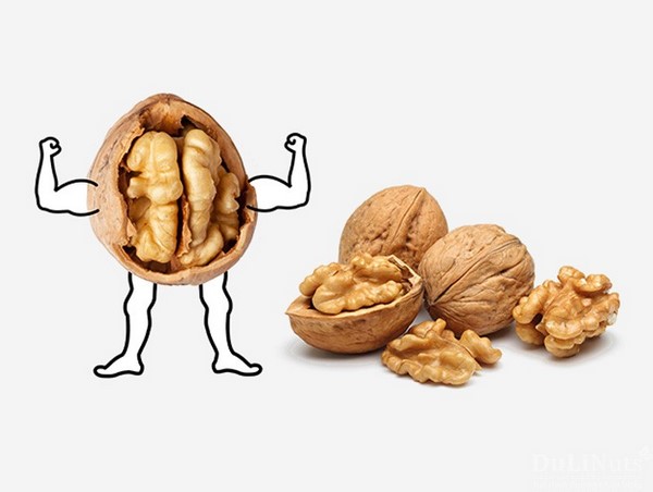 Dầu óc chó cho trẻ ăn dặm 3