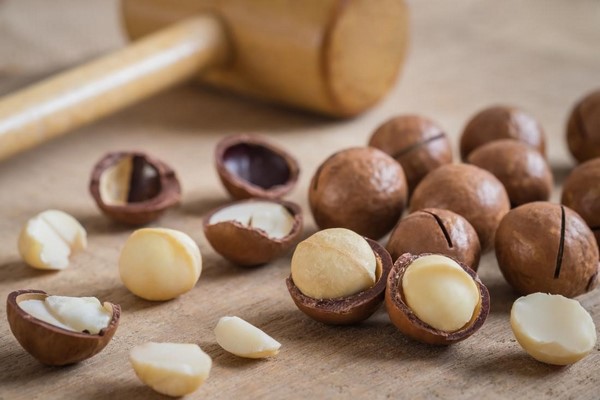 lợi ích hạt macca 1