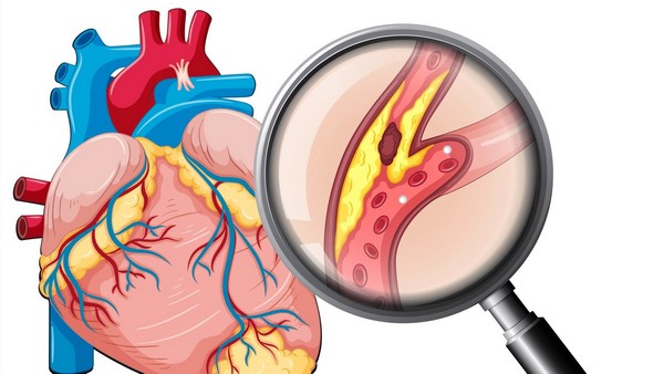 công dụng của dầu óc chó 1