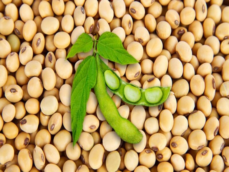thực phẩm giàu omega 3