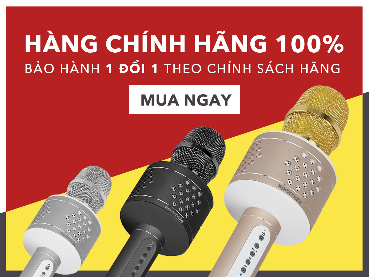 KARAOKE THẢ GA TẠI CHUNG CƯ VỚI MICRO KÈM LOA BLUETOOTH THẾ HỆ MỚI