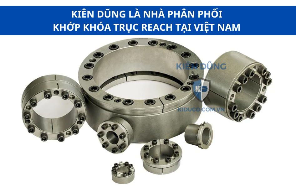 Khớp nối trục REACH, Việt Nam