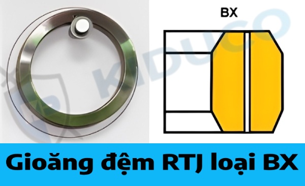 Gioăng đệm RTJ loại BX