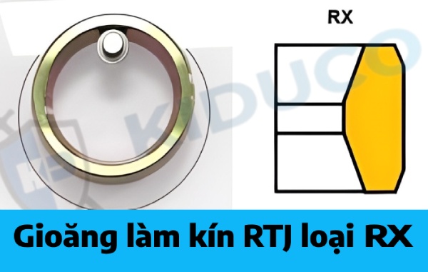 Gioăng làm kín RTJ loại RX