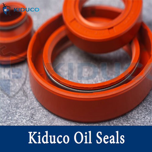 Đặt mua Oil seals