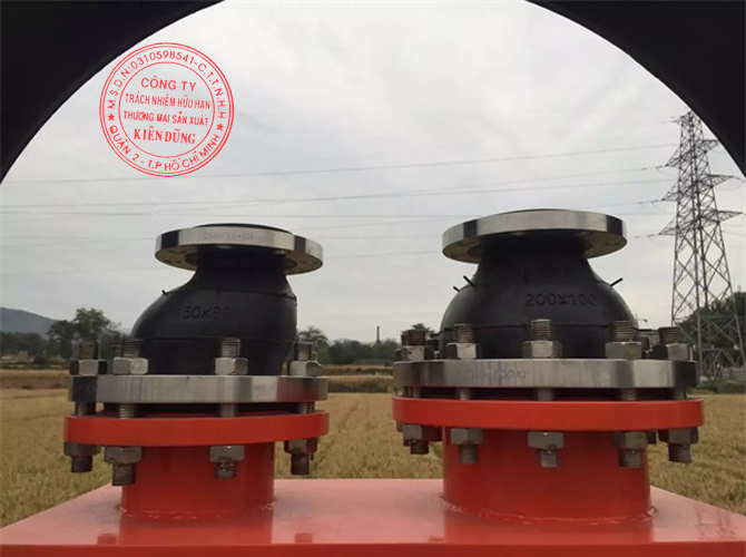 Khớp nối mềm cao su nối giảm Reducer Rubber Expansion Joint 4
