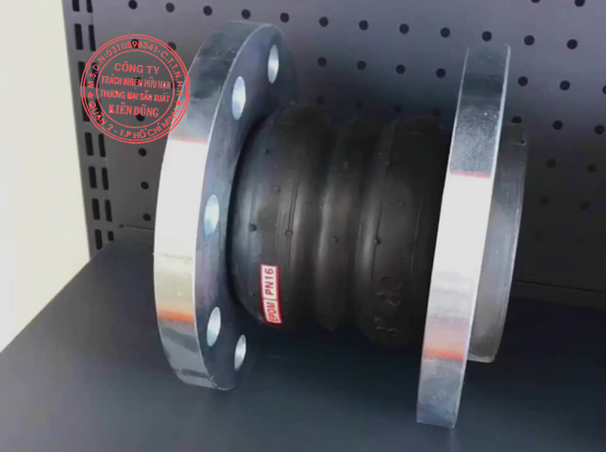 Khớp nối mềm cao su EPDM Double Sphere Rubber Expansion Joint 4