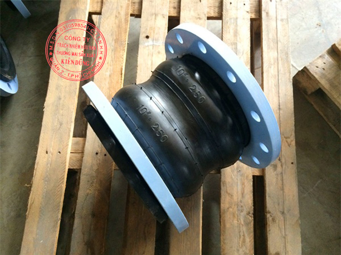 Khớp nối mềm cao su NBR Twin Sphere Rubber Expansion Joint 5
