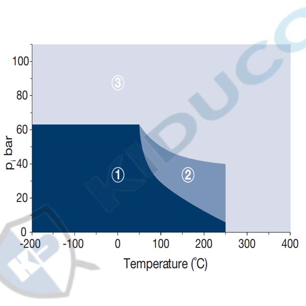 Đồ thị P - T (áp suất - nhiệt độ) của gioăng nhựa Soft-chem
