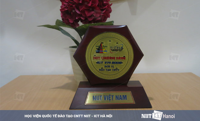 giai-thuong-thanh-tich-niit-ict-dat-duoc-qua-hon-15-nam-hoat-dong-14