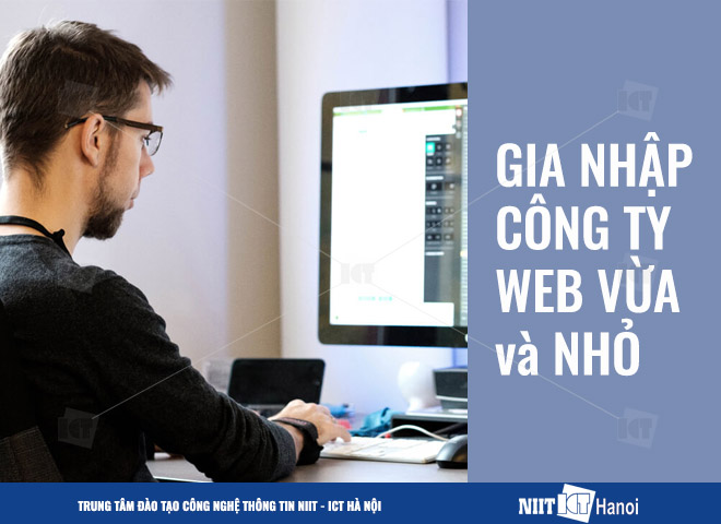 niit-cit-ha-noi-co-hoi-gia-nhap-cong-ty-web-vua-va-nho