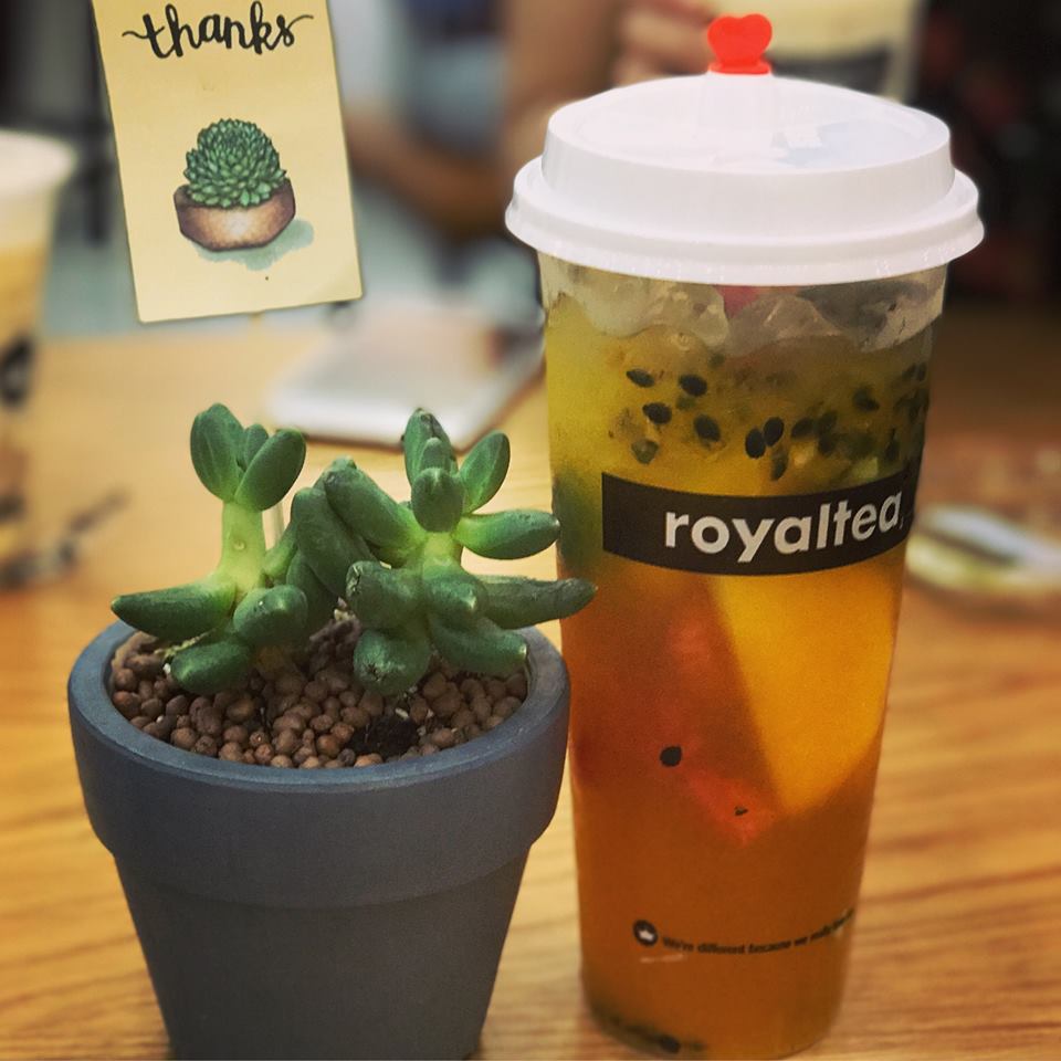 CÁCH PHA CHẾ TRÀ Ô LONG KEM CHEESE CỦA ROYAL TEA