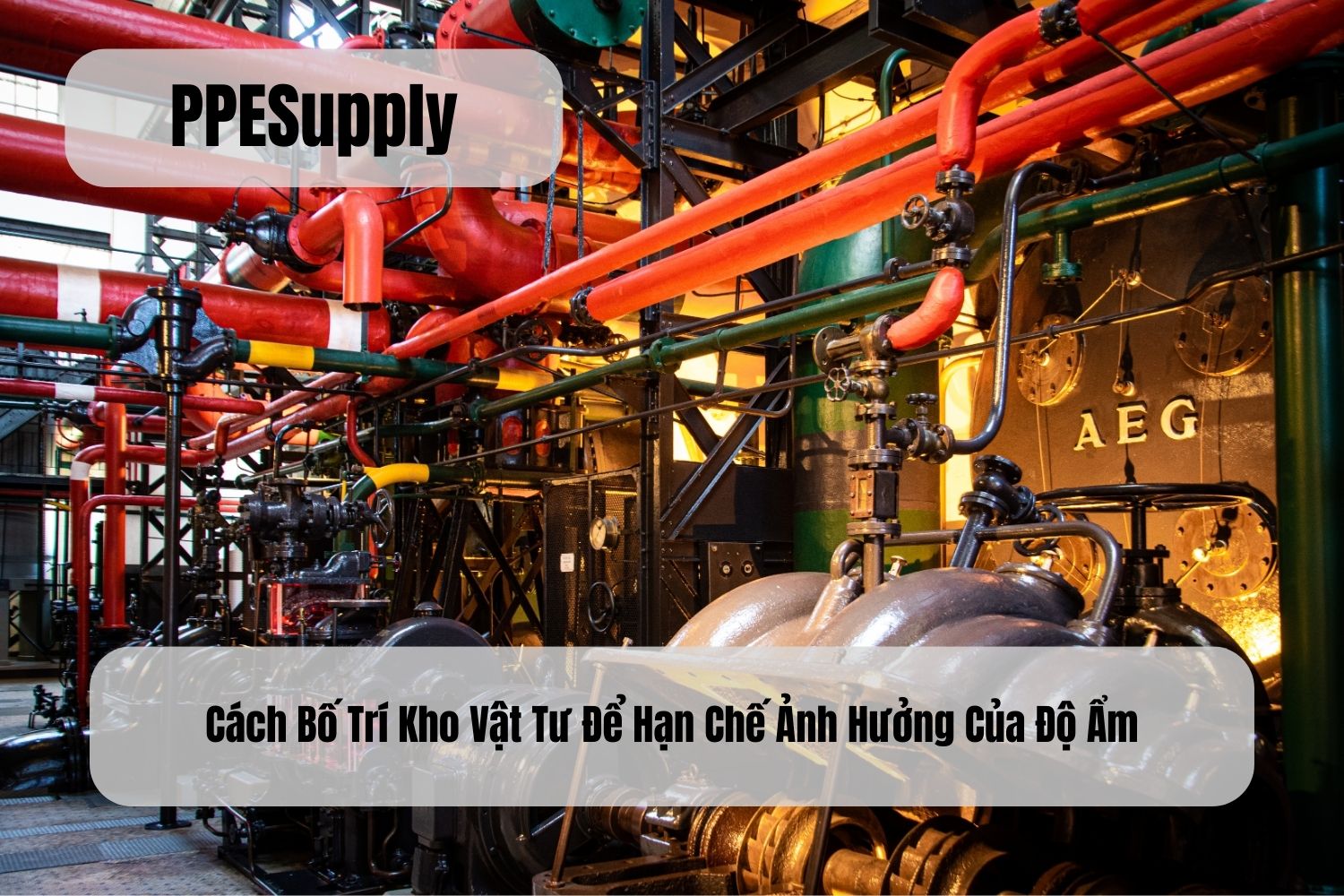 Cách Bố Trí Kho Vật Tư Để Hạn Chế Ảnh Hưởng Của Độ Ẩm