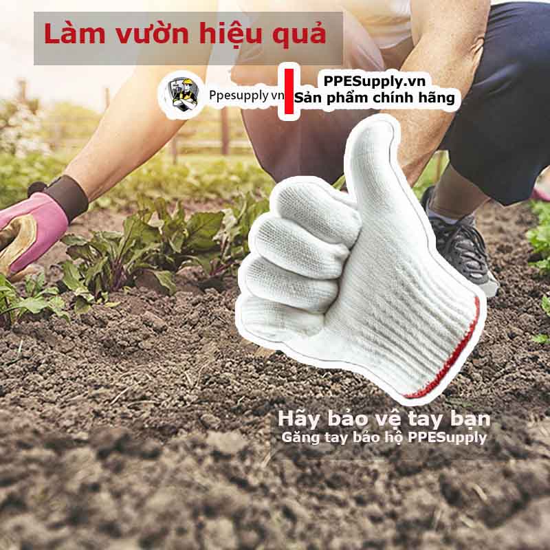 Găng tay bảo hộ