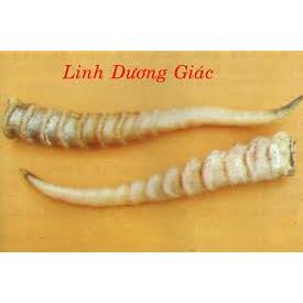 LINH DƯƠNG GIÁC