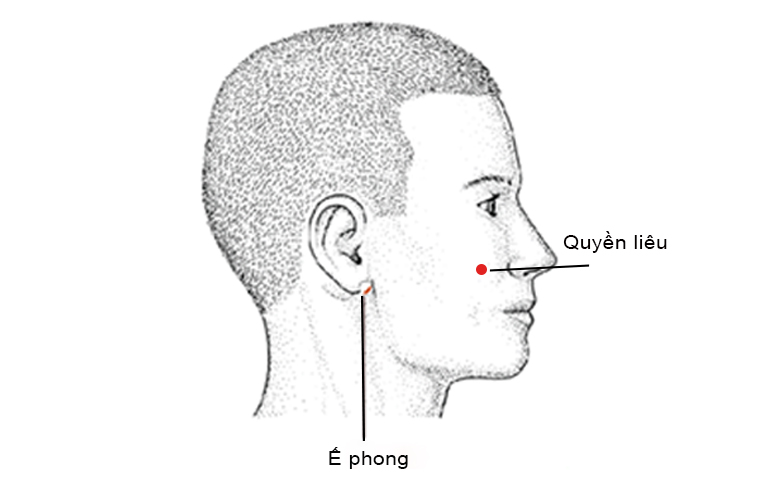 Quyền Liêu Huyệt chủ trị liệt mặt, cơ mặt co giật, răng đau