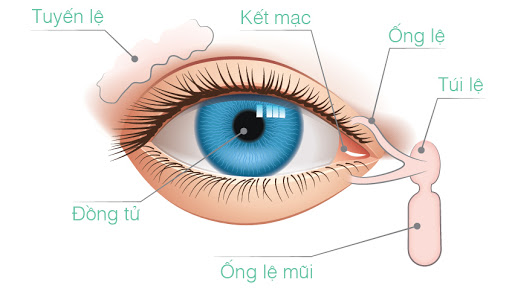 Chảy nước mắt