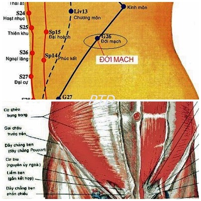 Đái mạch