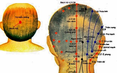 Tìm hiểu tất cả về Huyệt Bách Hội